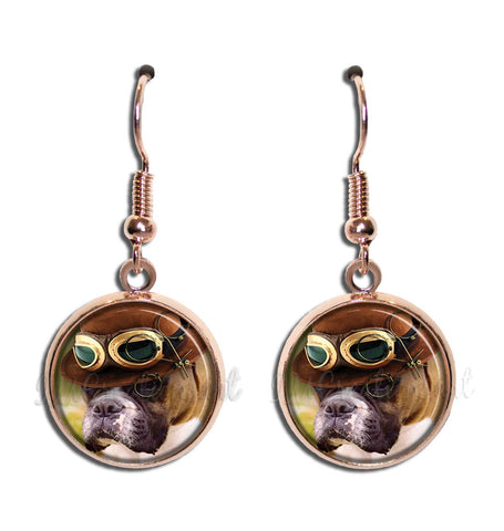 Boxer Dog Pilot