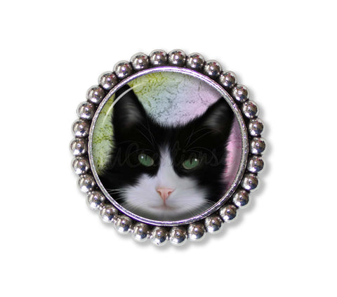 Sweet Kitty Cat