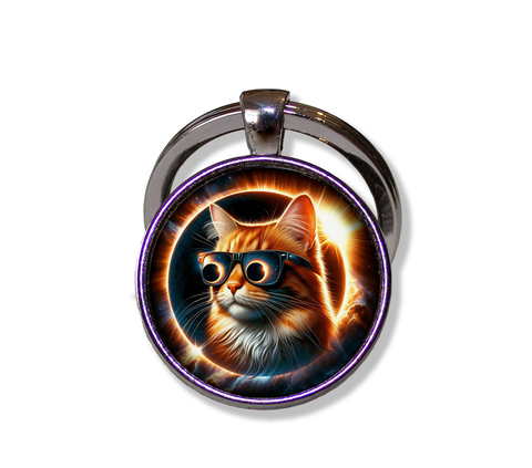 Total Solar Eclipse Tabby Cat