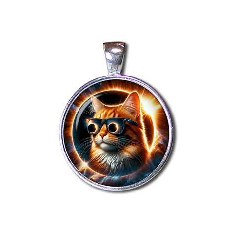 Total Solar Eclipse Tabby Cat