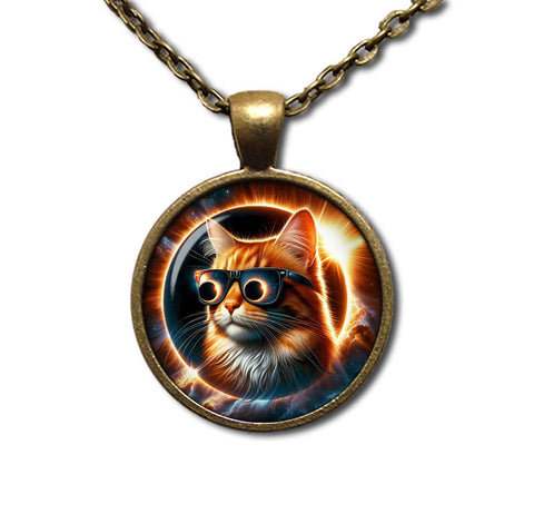 Total Solar Eclipse Tabby Cat