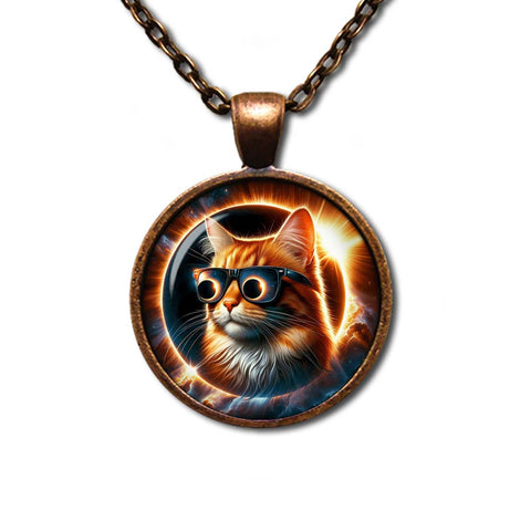 Total Solar Eclipse Tabby Cat