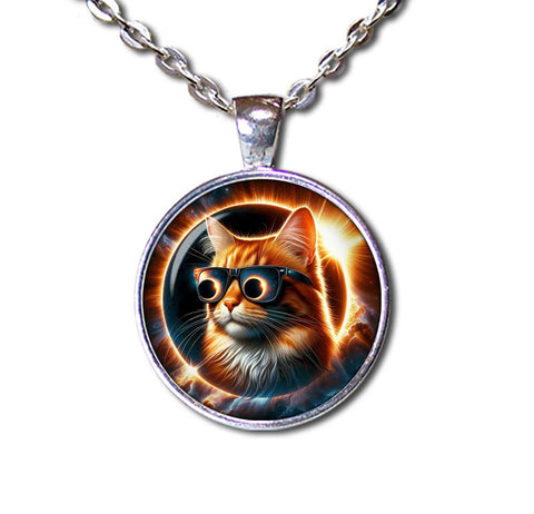 Total Solar Eclipse Tabby Cat