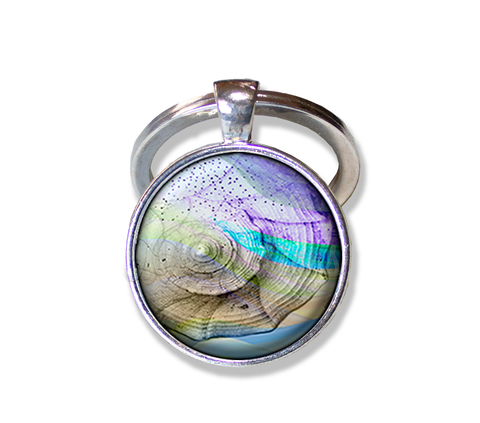 Pretty Ocean Seashell