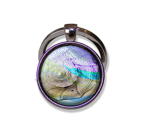 Pretty Ocean Seashell