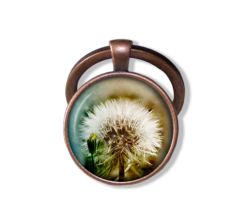 Stunning Dandelion
