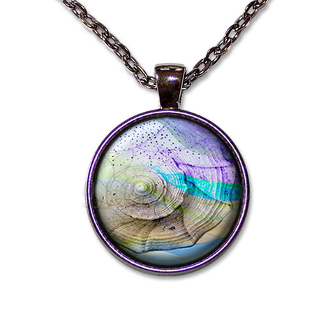 Pretty Ocean Seashell