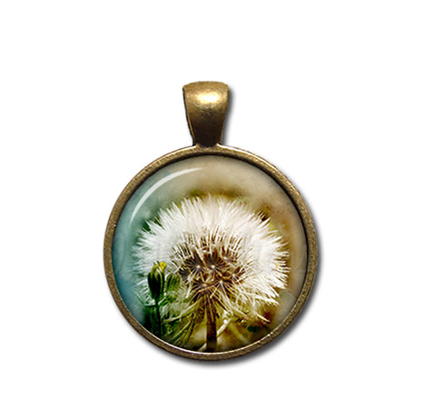 Stunning Dandelion