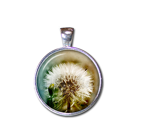 Stunning Dandelion