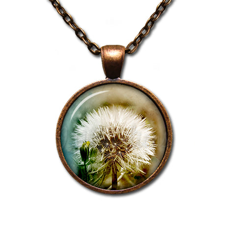 Stunning Dandelion