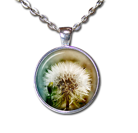 Stunning Dandelion