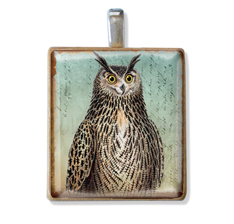 Unique Owl Designs