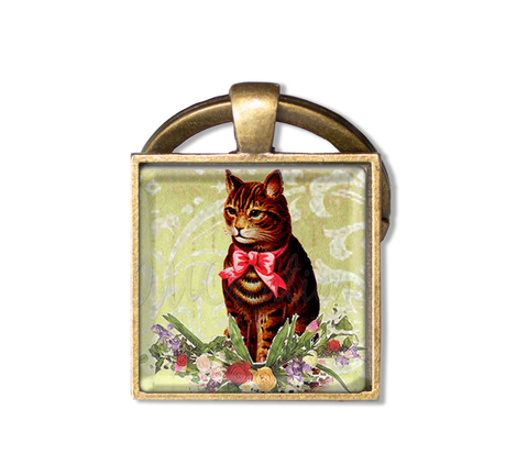 Precious Tabby Cat