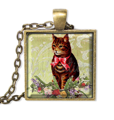 Precious Tabby Cat