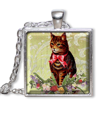 Precious Tabby Cat