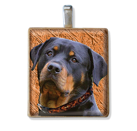 Cute Canine Designs