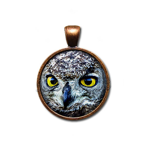 Looking Owl