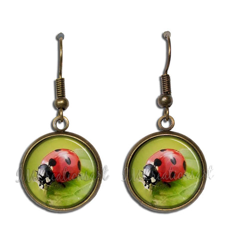 Lucky Ladybug