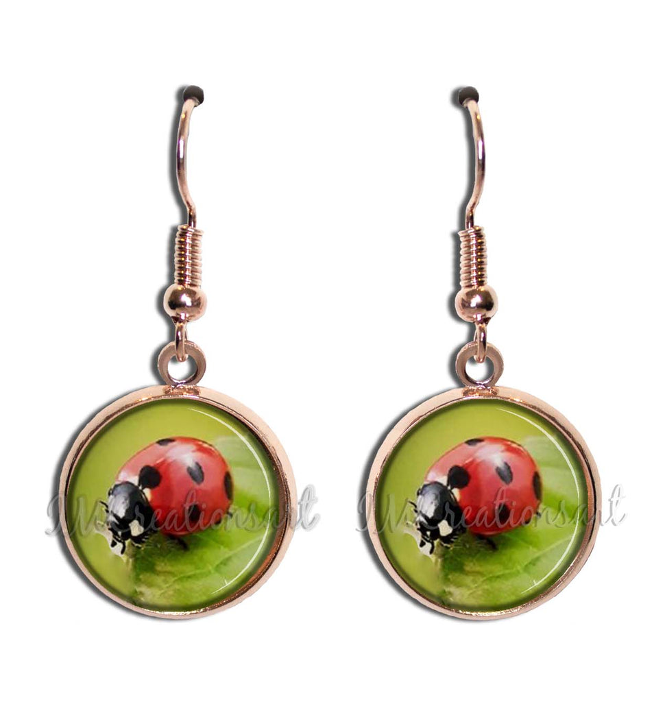 Lucky Ladybug