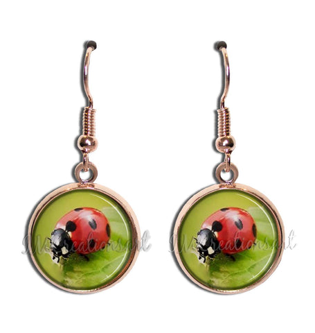 Lucky Ladybug