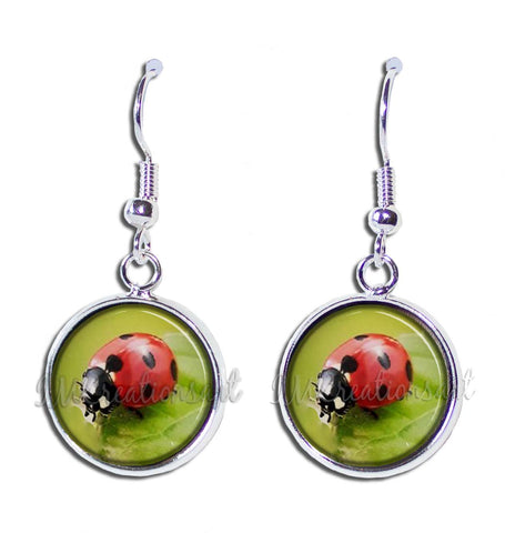 Lucky Ladybug
