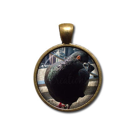 NYC Pigeon