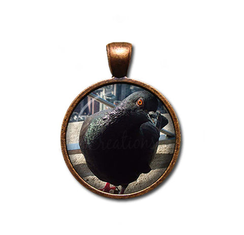 NYC Pigeon