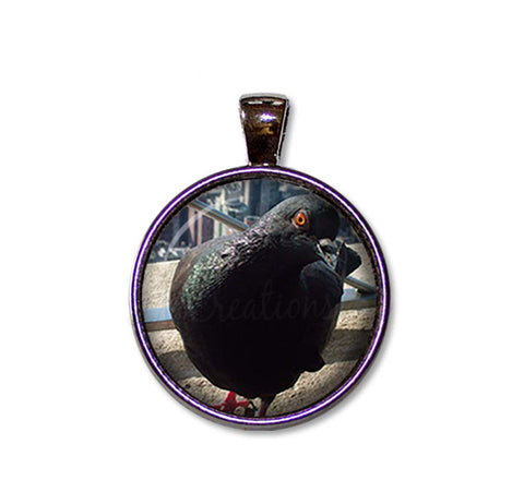 NYC Pigeon