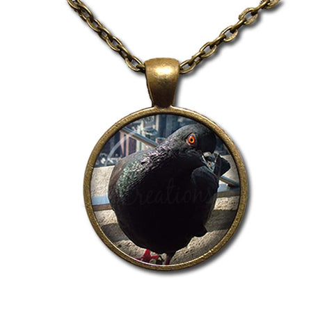 NYC Pigeon