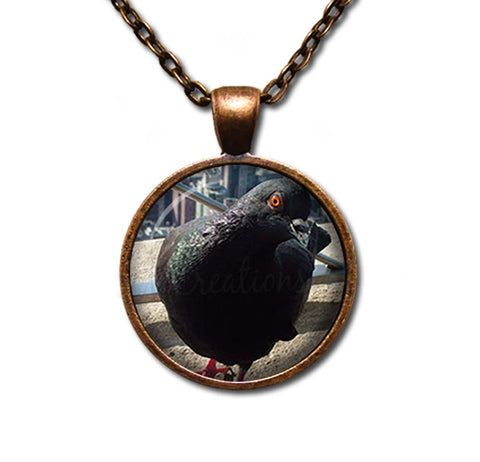 NYC Pigeon