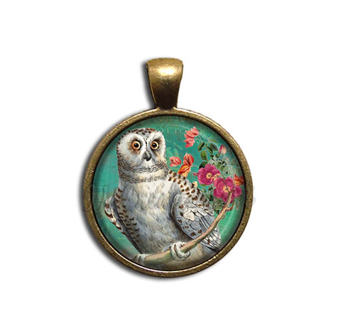 Perched Barn Owl