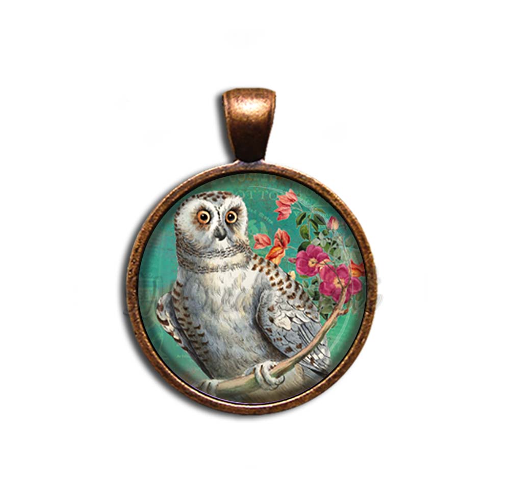 Perched Barn Owl