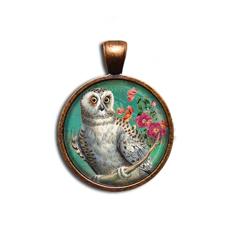 Perched Barn Owl