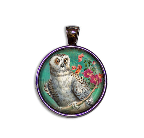 Perched Barn Owl