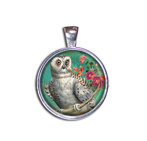 Perched Barn Owl