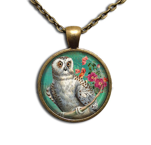 Perched Barn Owl