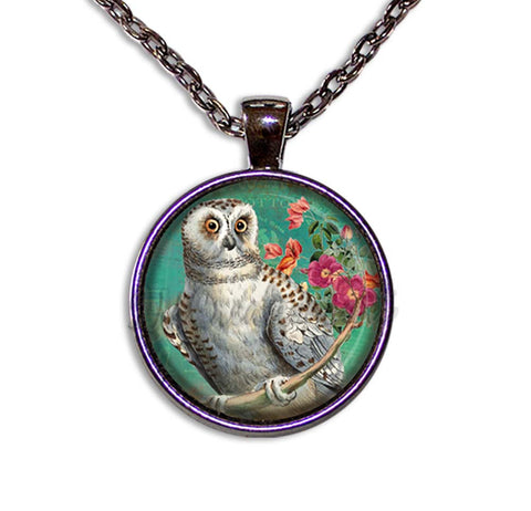 Perched Barn Owl