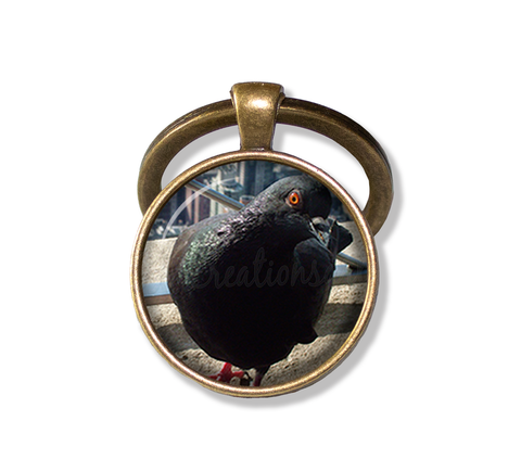 NYC Pigeon