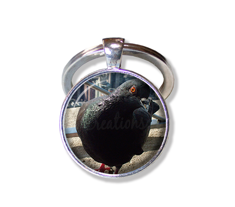 NYC Pigeon