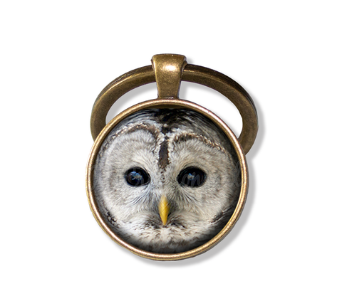 Barred Owl