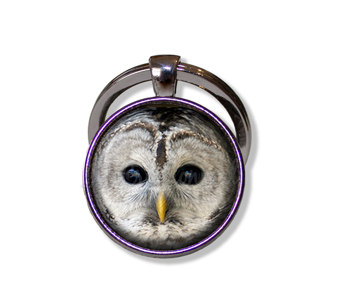 Barred Owl