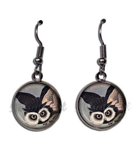 Soaring Owl