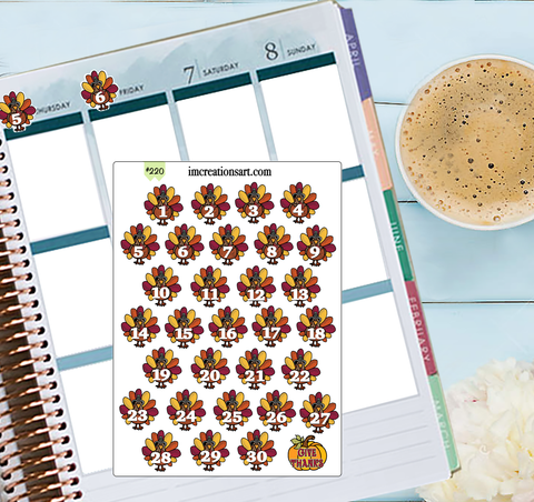 Date Covers Turkeys