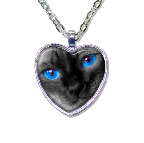 Blue Eyed Kitty Cat