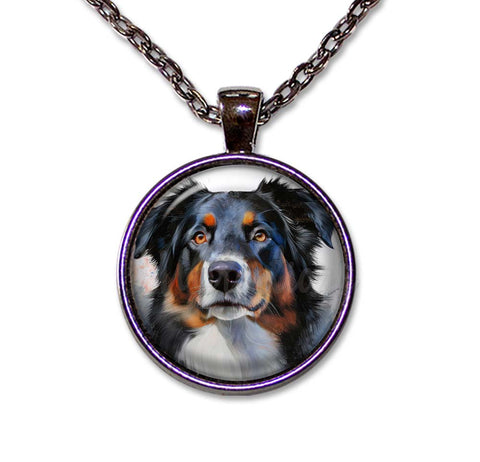 Australian Shepherd