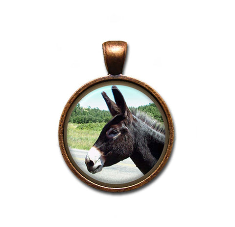 Docile Donkey