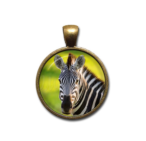 Beautiful Zebra