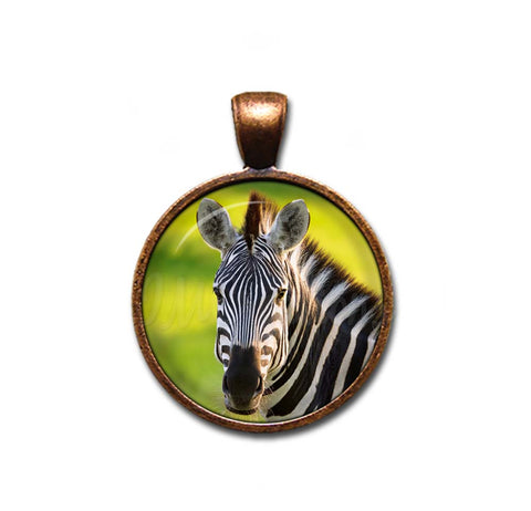 Beautiful Zebra