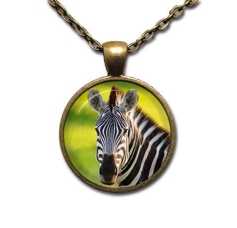 Beautiful Zebra
