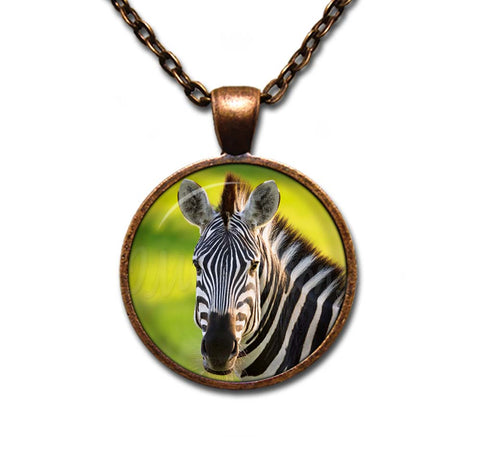 Beautiful Zebra